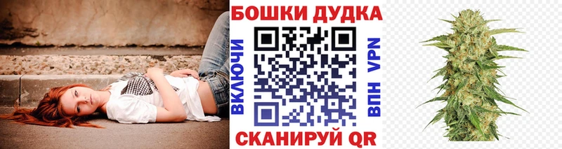 Конопля MAZAR Калининец
